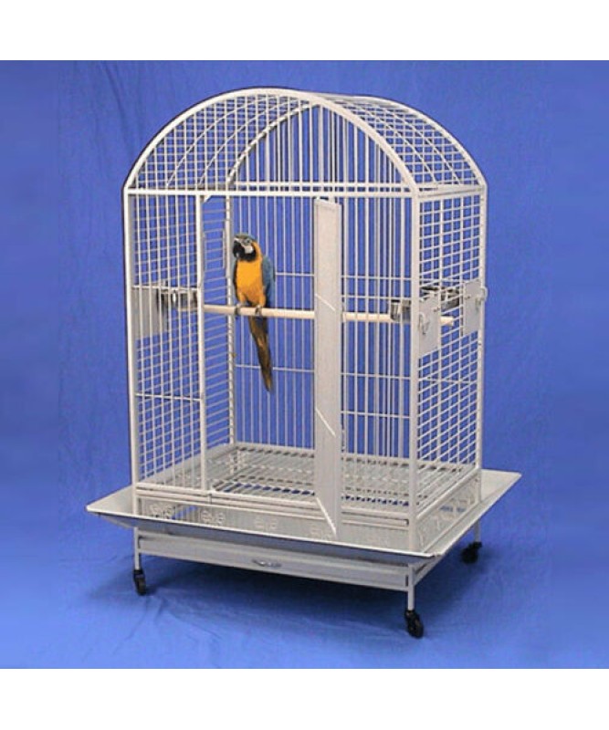 Macaw supplies hot sale